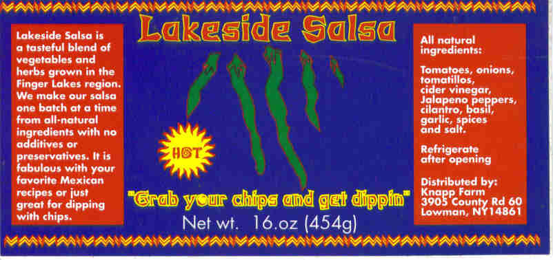 Salsa